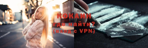 шишки Абинск
